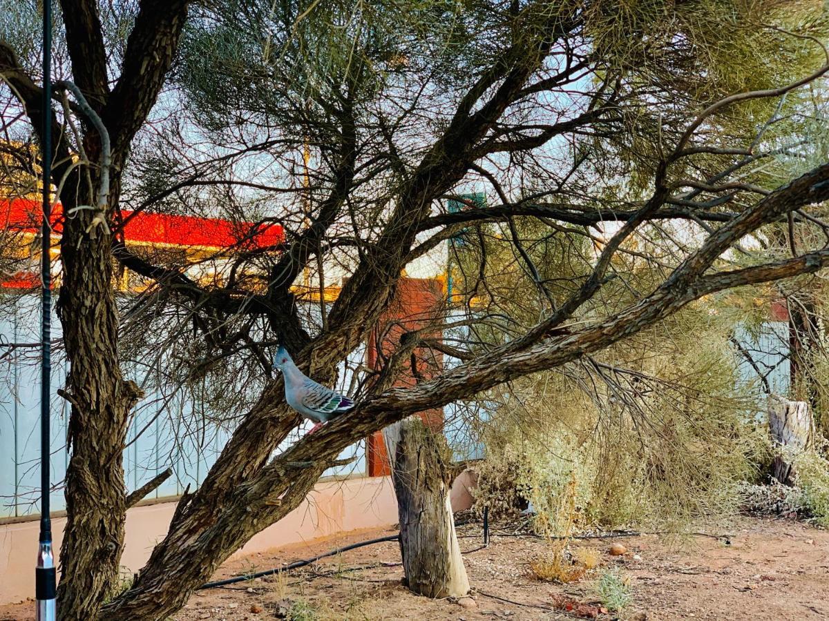 Desert Cave Hotel Coober Pedy Exterior photo